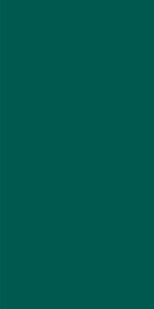 Ceramika Color GREEN MAT REKT. 30x60 obklad