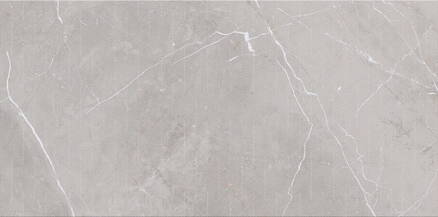 Cersanit ASSIER GREY INSERTO GLOSSY 29,7x60 dekor ND919-002