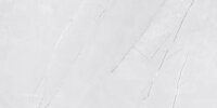 Netto VENEZIA LIGHT GREY SHINY LESK REKT. 30x60 obklad