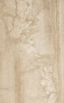 Paradyz ANGEMMO BROWN LESK 25x40 obklad