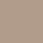 Rako Object COLOR ONE RAL 0607020 SVETLO BÉŽOVO-HNEDÝ MAT 15x15 obklad WAA19311