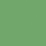 Rako Object COLOR TWO RAL 1306050 ZELENÁ 20x20 dlažba GAA1K466