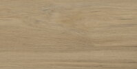 Arte GLACIER WOOD STRUKTURA MAT 30,8X60,8 obklad
