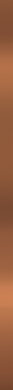 Ceramica Bianca SUPER COPPER 2,5X75 lištela