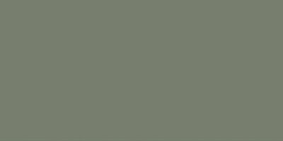 Ceramika Color OLIVE MAT CKR 19-1 REKT. 30x60 obklad