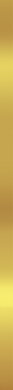 Ceramika Color SUPER GOLD 2x60 lištela