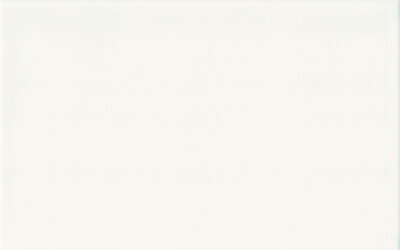 Ceramika Color NERO WHITE 25x40 obklad