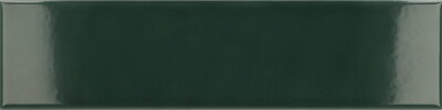 Equipe Cerámicas COSTA NOVA LAUREL GREEN LESK 5x20 obklad