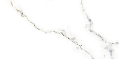 Netto CARRARA SHINY LESK REKT. 30x60 obklad