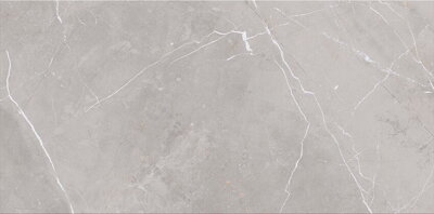 Cersanit ASSIER GREY GLOSSY 29,7x60 obklad NT919-001-1
