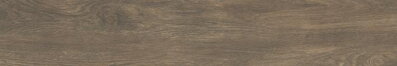 Opoczno SHELLWOOD BROWN REKT. 19,8X119,8 dlažba NT1505-002-1