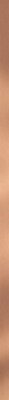 Paradyz Univerzálna METALOVA GOLD LESK PROFIL 2x89,8 lištela