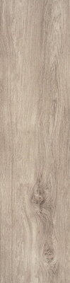 Paradyz SHERWOOD NATURALE GRES SZKL. REKT. STRUKTURA 20MM MAT. 29,5X119,5 dlažba