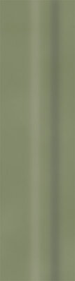 Paradyz GREEN PHILOSOPHY OLIVE MAT 8x29,8 sokel