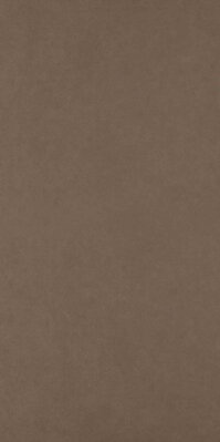 Paradyz INTERO BROWN GRES REKT. MAT. 59,8X119,8 dlažba