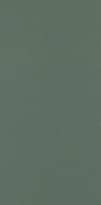Paradyz NEVE CREATIVE DARK GREEN MAT 9,8X19,8 obklad