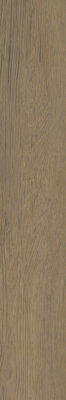 Classica SPACEWOOD HONEY GRES SZKL. REKT. STRUKTURA MAT. 19,8X119,8 dlažba
