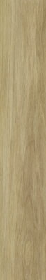 Classica SPECIALWOOD GOLD STRUKTURA MAT REKT. 19,8X119,8 dlažba
