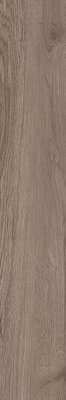 Paradyz WILDLAND NATURALE (TWILIGHT) GRES SZKL. REKT. 14,8X89,8 dlažba