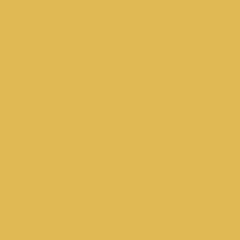 Rako Object COLOR ONE RAL 0858070 TMAVO-ŽLTÝ MAT 20x20 obklad WAA1N222