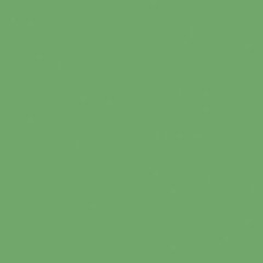 Rako Object COLOR ONE RAL 1306050 ZELENÝ MAT 20x20 obklad WAA1N466