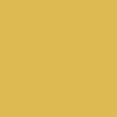 Rako Object COLOR ONE RAL 0858070 TMAVO-ŽLTÝ LESK 20x20 obklad WAA1N201