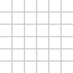 Rako Object COLOR TWO BIELA 30x30 mozaika (5x5) GDM05052