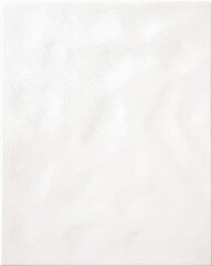 Rako Home SYSTEM BIELY LESK ONDULATO 20x25 obklad WARG6000