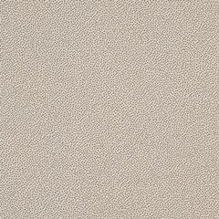 Rako Object TAURUS GRANIT 61 TUNIS 30x30 dlažba TRM34061