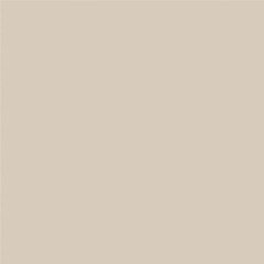 Rako Object TAURUS COLOR 10 IVORY 30x30 dlažba TAA34010