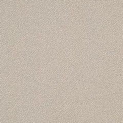 Rako Object TAURUS GRANIT 61 TUNIS 20x20 dlažba TRM25061