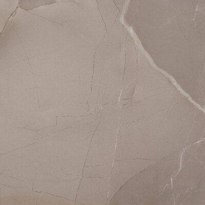 PASSION LUX 60 Taupe 60x60 (bal=1,08m2)