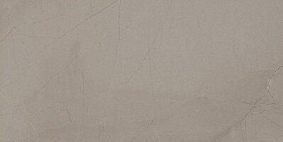 PASSION Lux Taupe 30x60 (1,08m2)