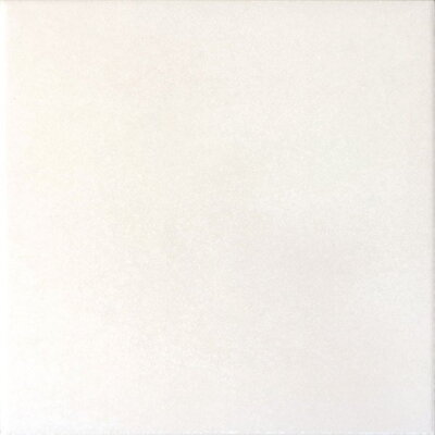 CAPRICE White 20X20 (EQ-2) (1bal=1m2)
