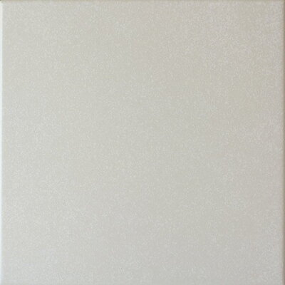 CAPRICE Grey 20X20 (EQ-2) (1bal=1m2)