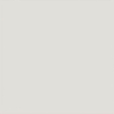 EVOLUTION Gris Claro Brillo 15X15 (EQ-0) (1bal=1m2)
