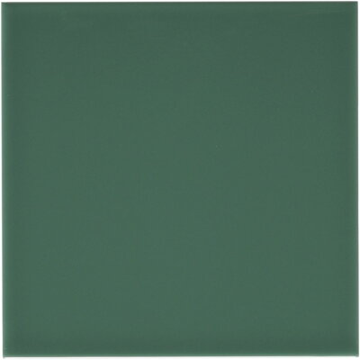 RIVIERA Liso Rimini Green 20x20 (bal=1,20m2)