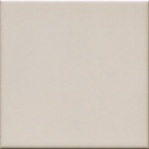 UNICOLOR 20 Musgo mate 20x20 (1bal=1m2)