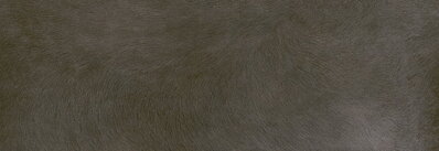 ZOO Marrón 20x60