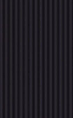 Classica TENOR NERO 25x40 obklad