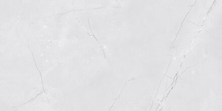 Netto VENEZIA LIGHT GREY SHINY LESK REKT. 30x60 obklad Netto VENEZIA LIGHT GREY SHINY LESK REKT. 30x60 obklad