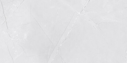 Netto VENEZIA LIGHT GREY SHINY LESK REKT. 30x60 obklad Netto VENEZIA LIGHT GREY SHINY LESK REKT. 30x60 obklad