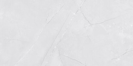 Netto VENEZIA LIGHT GREY SHINY LESK REKT. 30x60 obklad Netto VENEZIA LIGHT GREY SHINY LESK REKT. 30x60 obklad