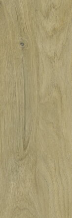 Classica DECORWOOD GOLD STRUKTURA MAT 20x60 dlažba Classica DECORWOOD GOLD STRUKTURA MAT 20x60 dlažba