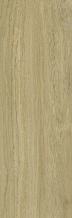 Classica DECORWOOD GOLD STRUKTURA MAT 20x60 dlažba Classica DECORWOOD GOLD STRUKTURA MAT 20x60 dlažba