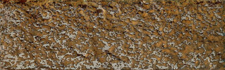 Tubadzin GOLDGREEN MIX 7,2x22 dekor Tubadzin GOLDGREEN MIX 7,2x22 dekor