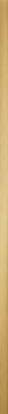 Tubadzin Zien STEEL GOLD 2 119,8X2,3 lištela