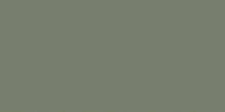 Ceramika Color OLIVE MAT CKR 19-1 REKT. 30x60 obklad