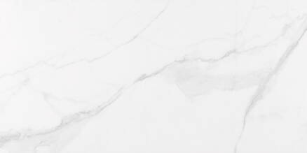 Ecoceramic ESSENTIAL WHITE LESK REKT. 60x120 dlažba