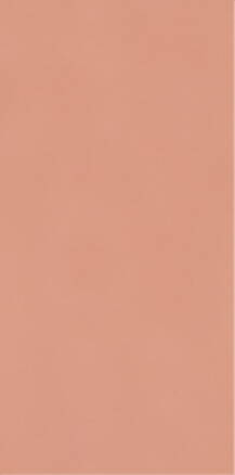 Paradyz NEVE CREATIVE BLUSH LESK 9,8X19,8 obklad